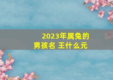 2023年属兔的男孩名 王什么元